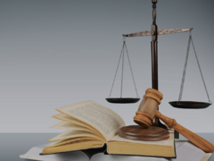 Avocat - Operatiuni ONRC, Actualizare coduri CAEN, Infiintari firme / PFA